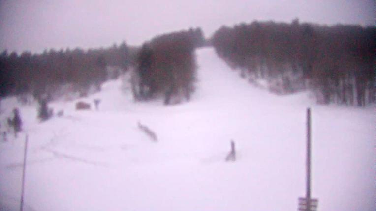 Webcam Mijanés Donezan: Pistes