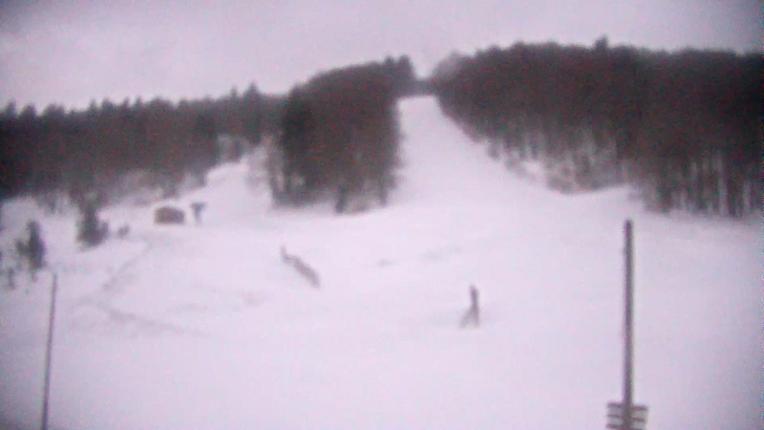 Webcam Mijanés Donezan: Pistes