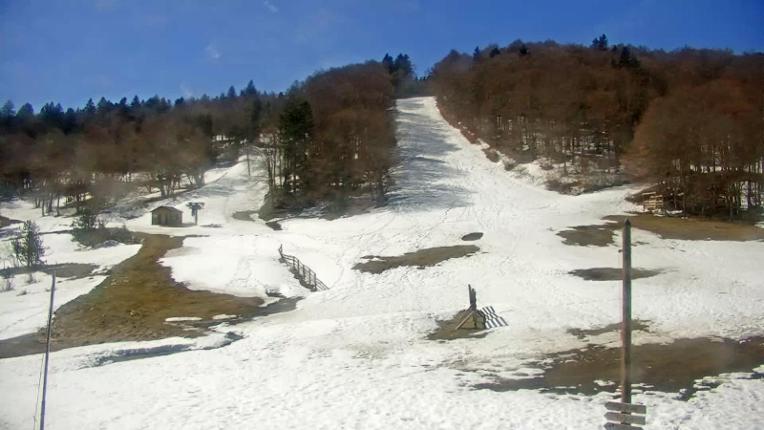 Webcam Mijanés Donezan: Pistes