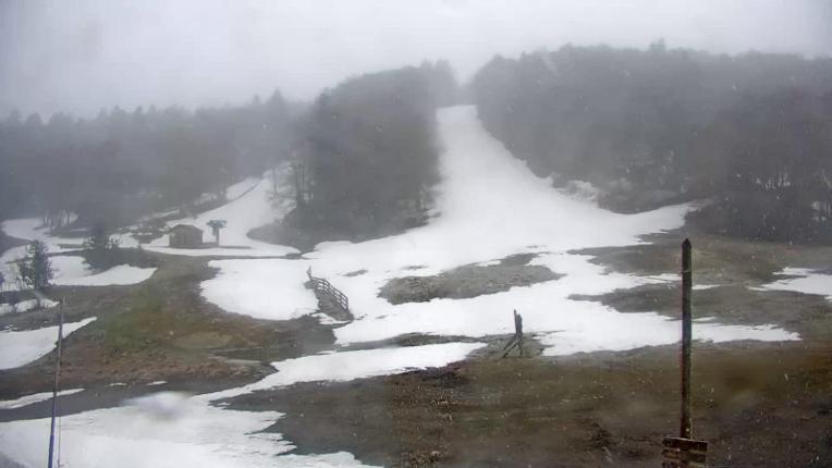 Webcam Mijanés Donezan: Pistes