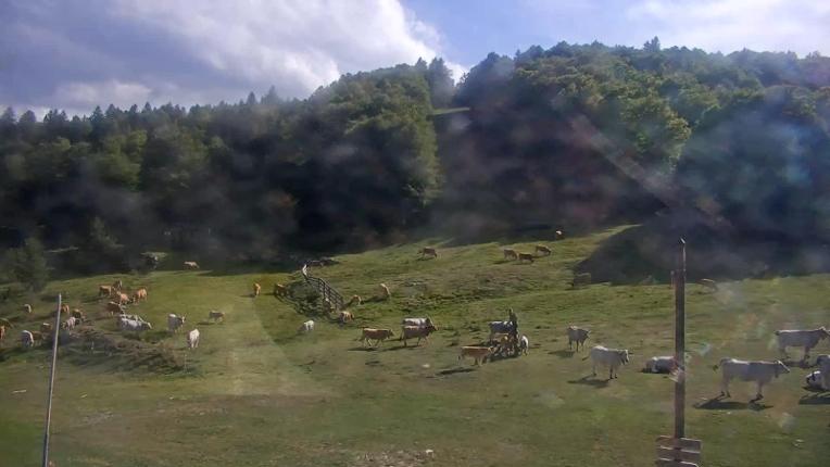 Webcam Mijanés Donezan: Pistes