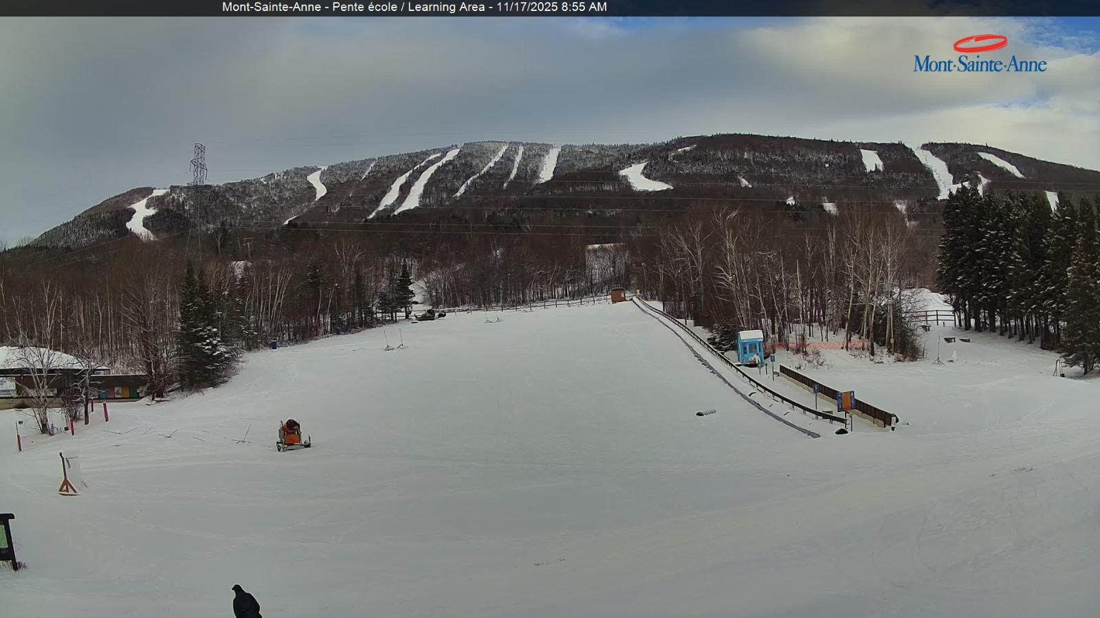 Webcam Mont-Sainte-Anne: Pente Ecole