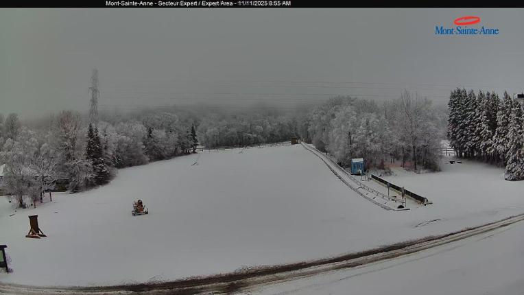 Webcam Mont-Sainte-Anne: Secteur Expert