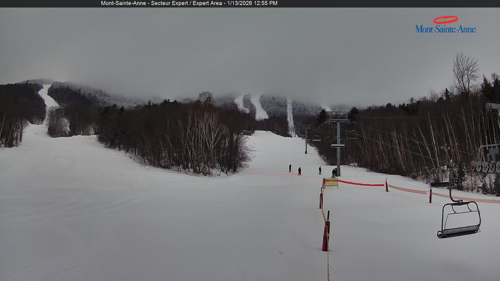 Webcam Mont-Sainte-Anne: Secteur Expert
