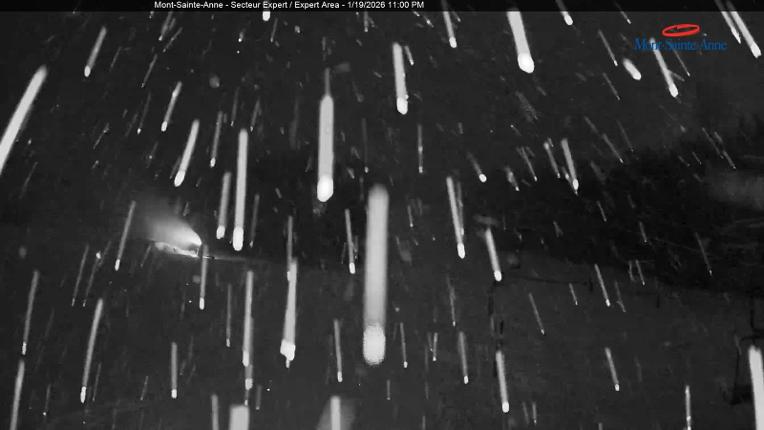 Webcam Mont-Sainte-Anne: Secteur Expert