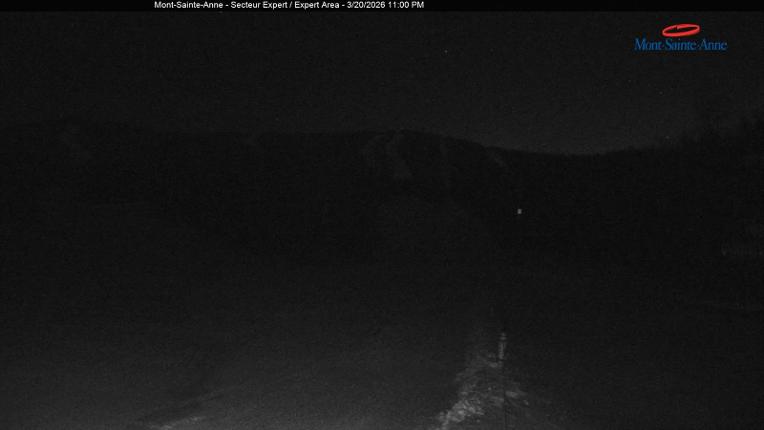 Webcam Mont-Sainte-Anne: Secteur Expert