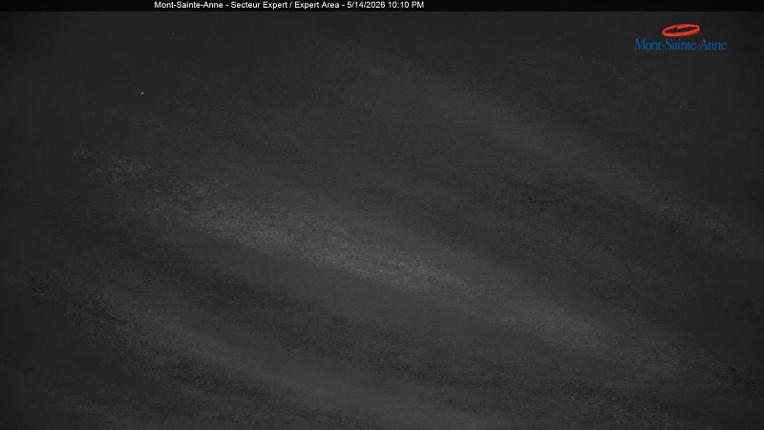 Webcam Mont-Sainte-Anne: Secteur Expert