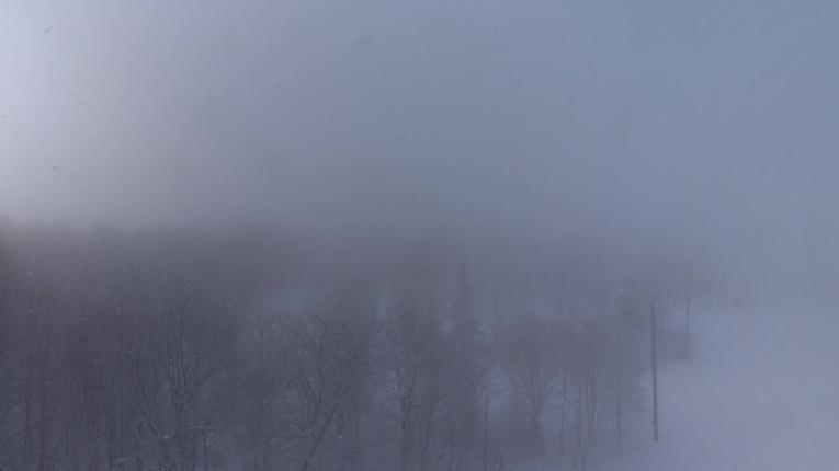 Webcam Mont Blanc: Sommet Versant Blanc