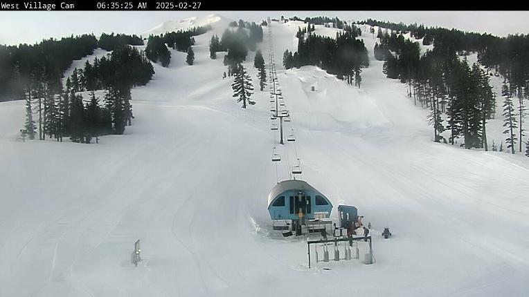 Webcam Mount Bachelor: Pine Marten lift