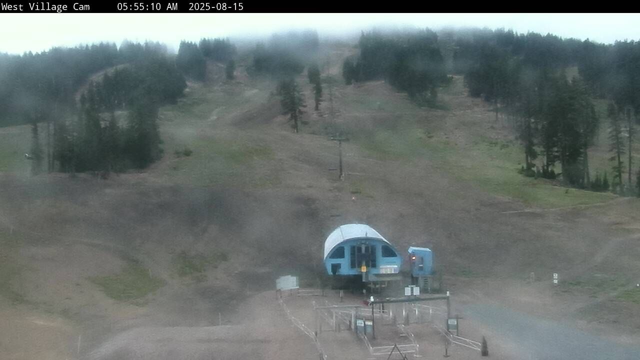 Webcam Mount Bachelor: Pine Marten lift