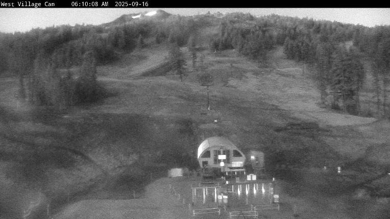 Webcam Mount Bachelor: Pine Marten lift