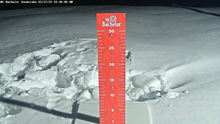 Webcam Mount Bachelor: Snow stake