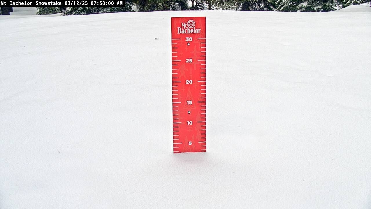 Webcam Mount Bachelor: Snow stake