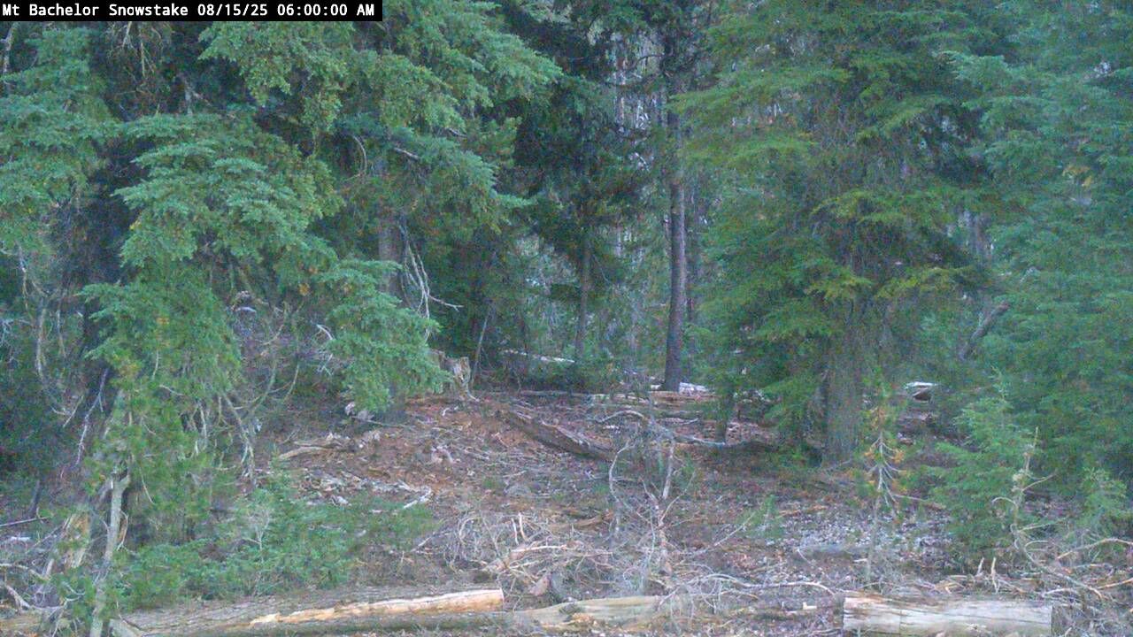 Webcam Mount Bachelor: Snow stake