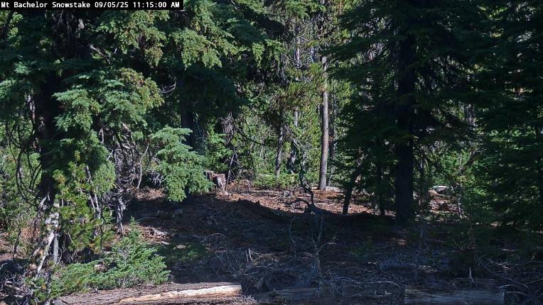 Webcam Mount Bachelor: Snow stake