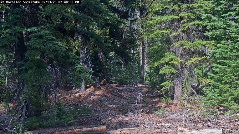 Webcam Mount Bachelor: Snow stake