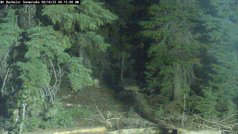 Webcam Mount Bachelor: Snow stake