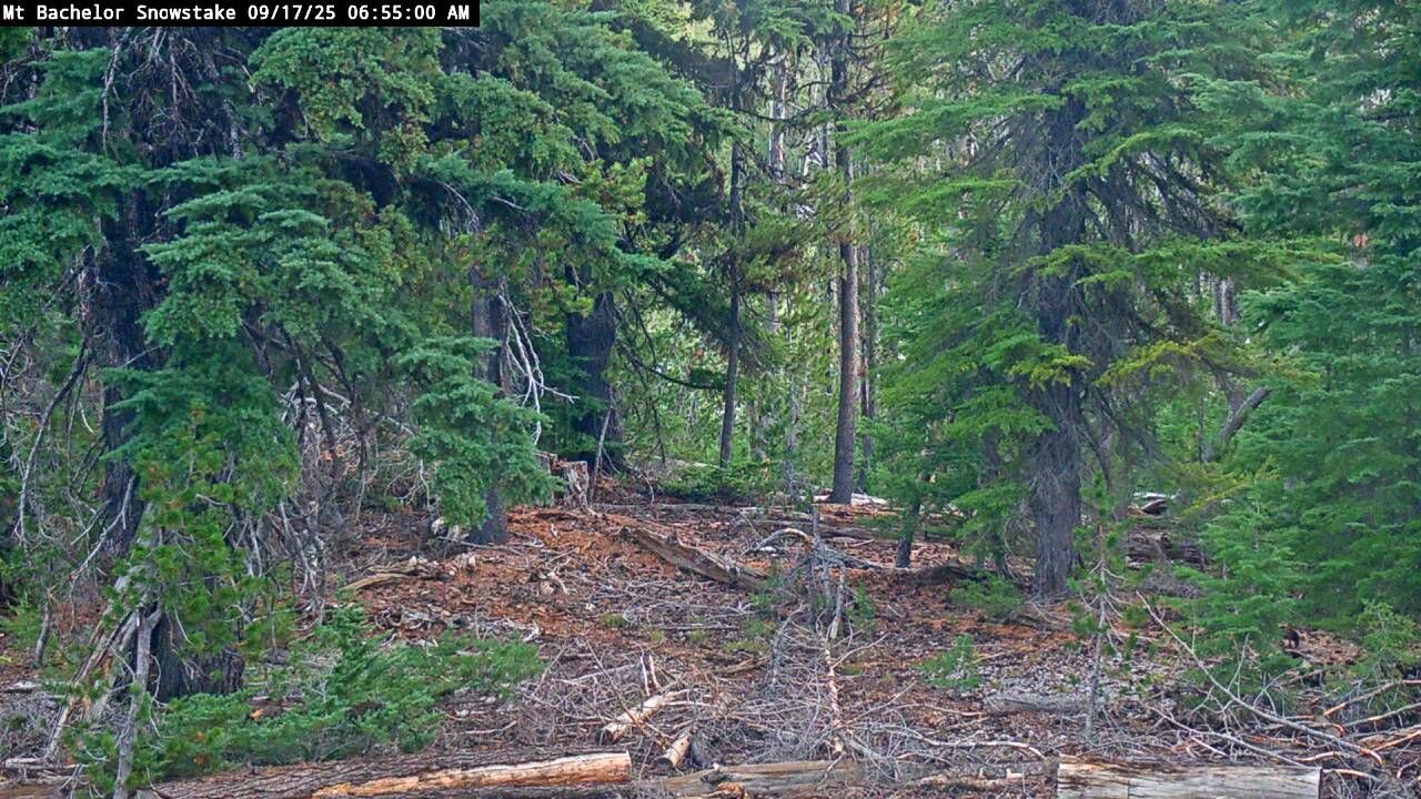 Webcam Mount Bachelor: Snow stake