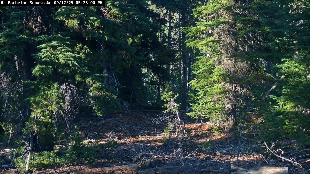 Webcam Mount Bachelor: Snow stake