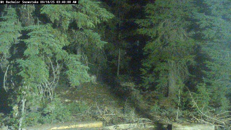 Webcam Mount Bachelor: Snow stake