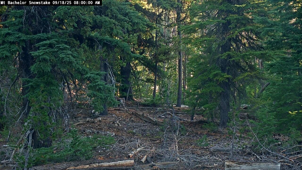 Webcam Mount Bachelor: Snow stake