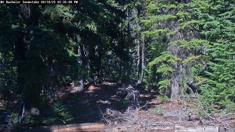 Webcam Mount Bachelor: Snow stake