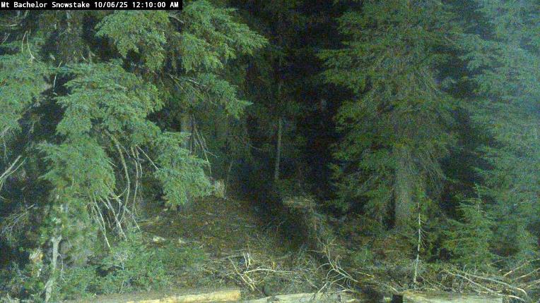 Webcam Mount Bachelor: Snow stake