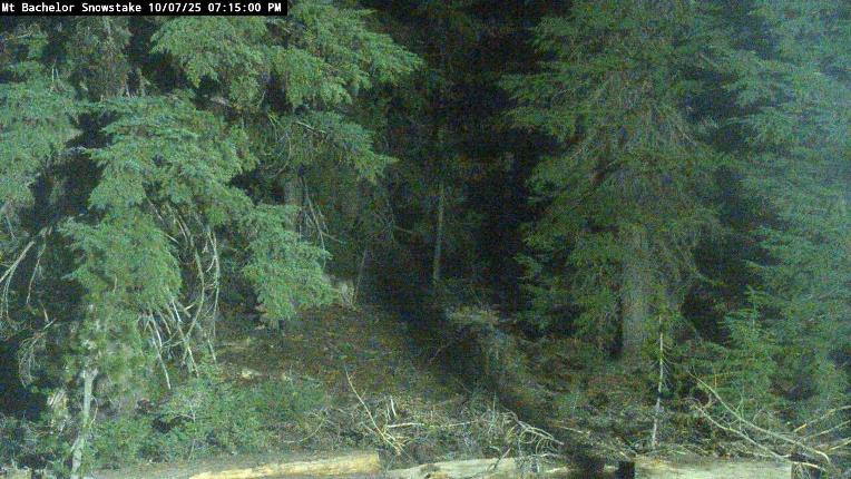 Webcam Mount Bachelor: Snow stake