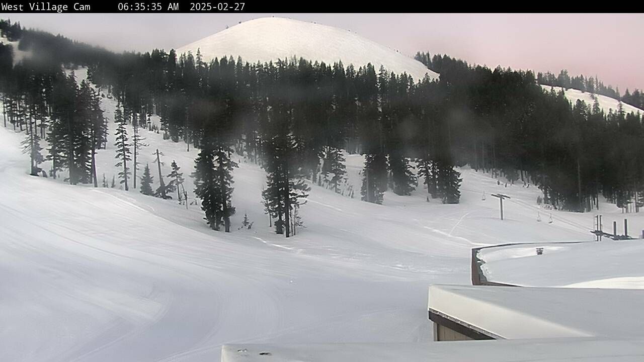 Webcam Mount Bachelor: The Cone