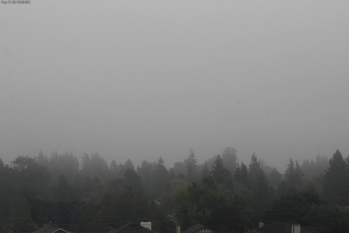 Webcam Mount Baker: Park