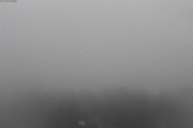 Webcam Mount Baker: Park