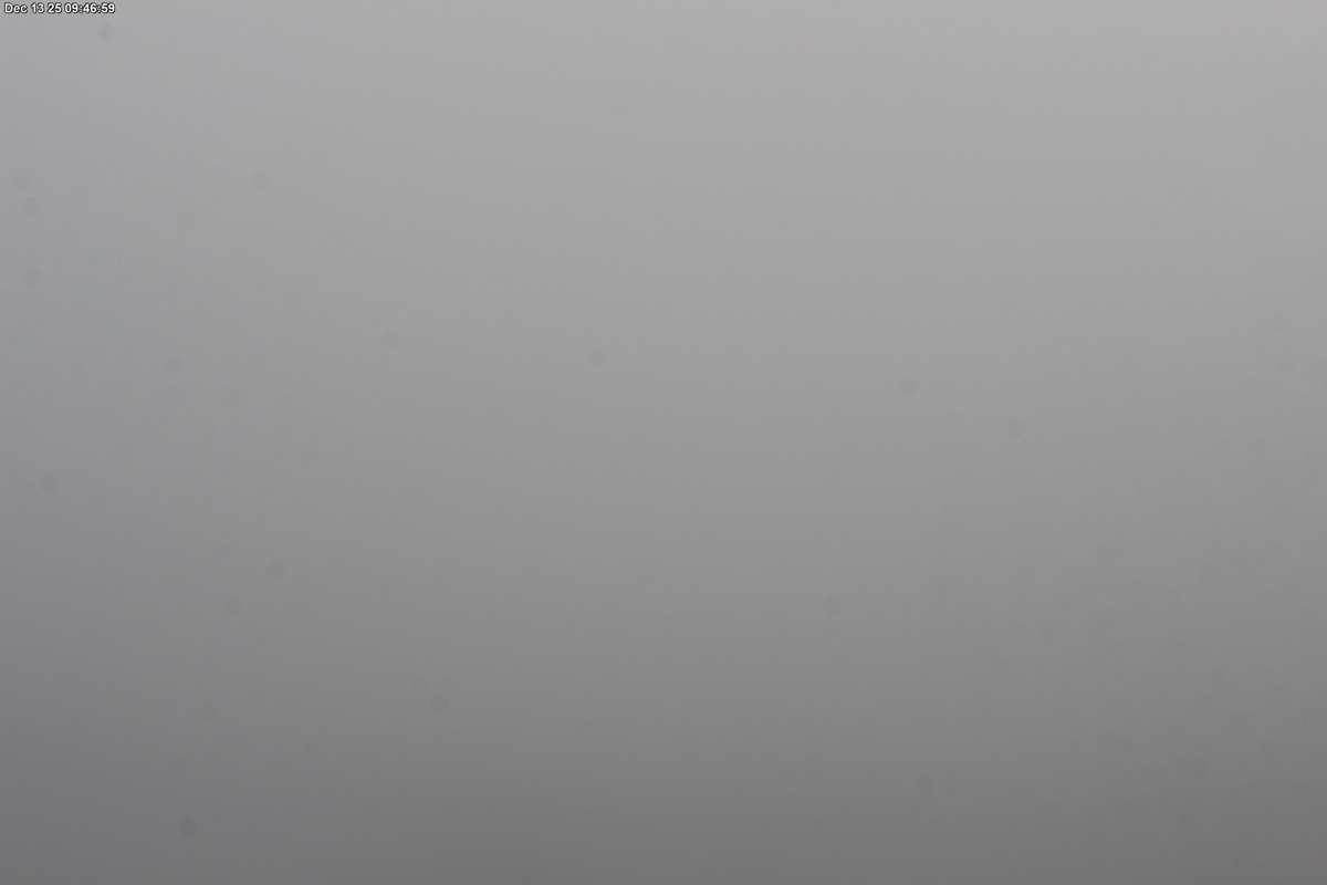 Webcam Mount Baker: Park