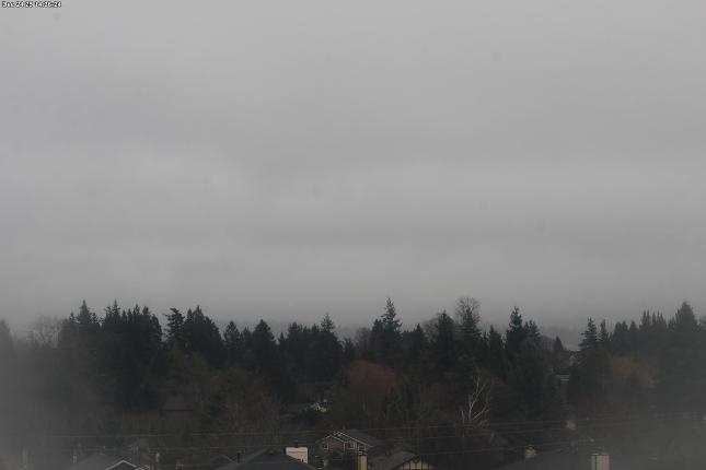 Webcam Mount Baker: Park