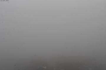 Mount Baker: Park (video-monitoring.com)