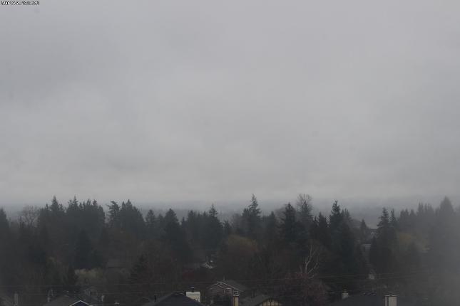 Webcam Mount Baker: Park