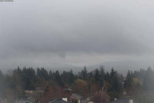 Webcam Mount Baker: Park