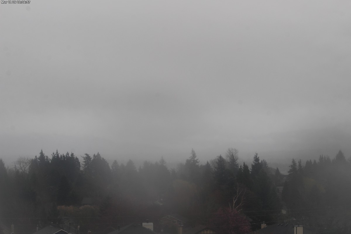 Webcam Mount Baker: Park