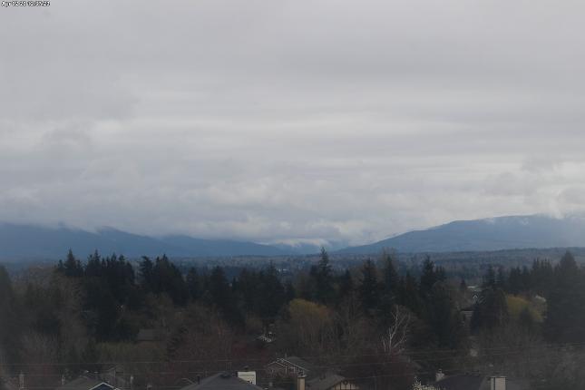Webcam Mount Baker: Park
