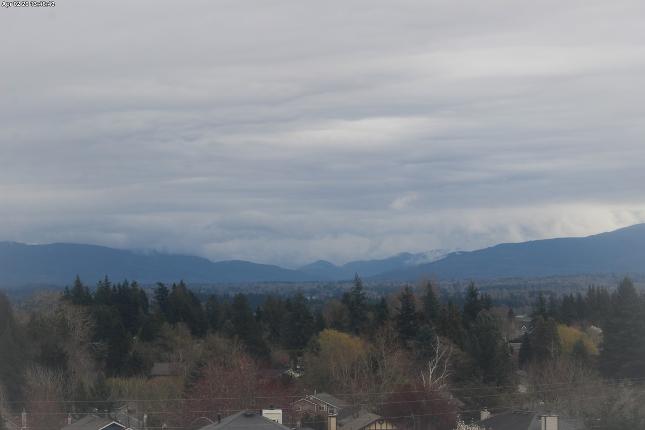 Webcam Mount Baker: Park