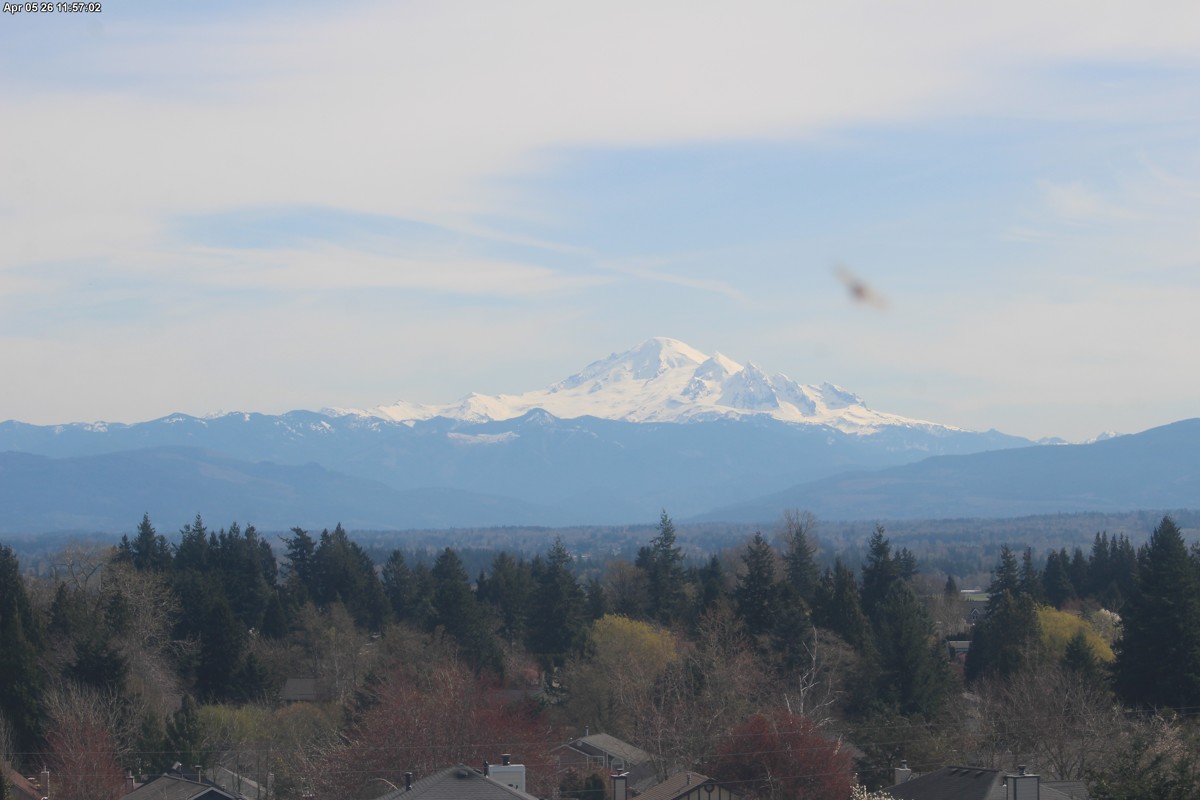 Webcam Mount Baker: Park