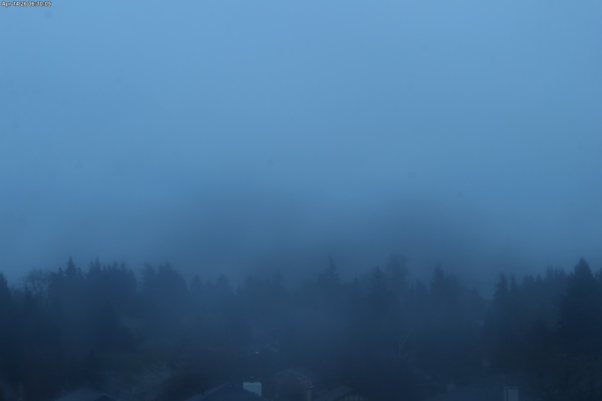 Webcam Mount Baker: Park