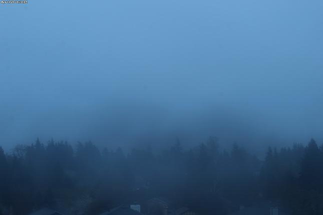 Webcam Mount Baker: Park