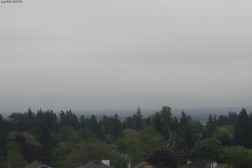 Mount Baker: Park (video-monitoring.com)