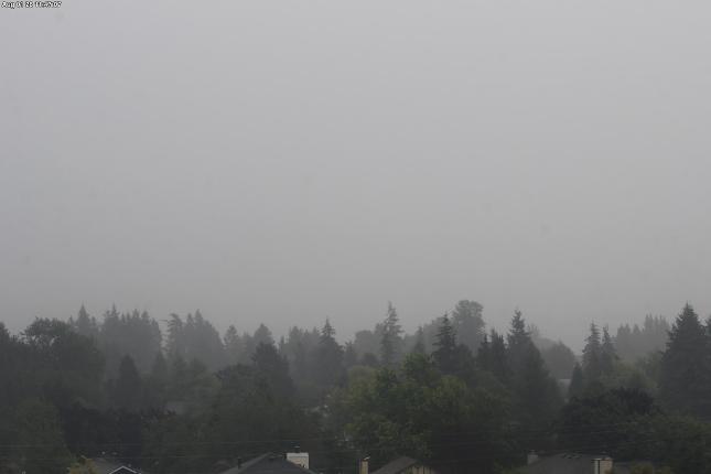 Webcam Mount Baker: Park