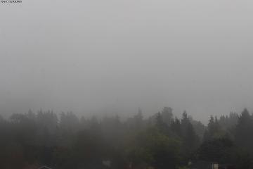Mount Baker webcam