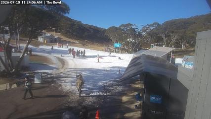 Mount Baw Baw: Bowl (mountbawbaw.com.au)
