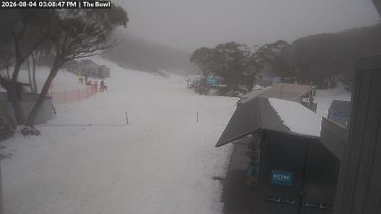 Mount Baw Baw: Bowl (mountbawbaw.com.au)