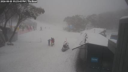 Mount Baw Baw: Bowl (mountbawbaw.com.au)