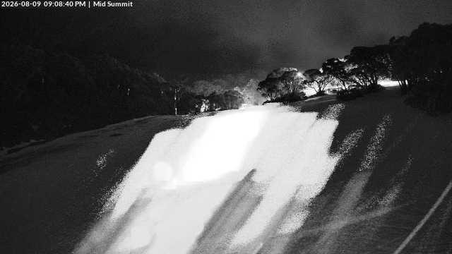 Webcam Mount Baw Baw: Mid Summit