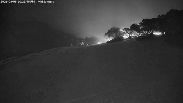 Webcam Mount Baw Baw: Mid Summit